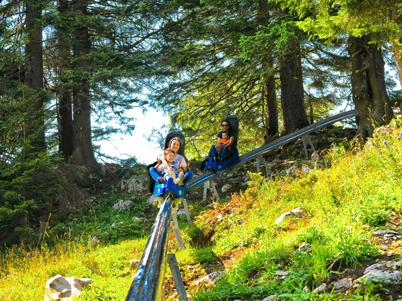 景區(qū)單軌滑車